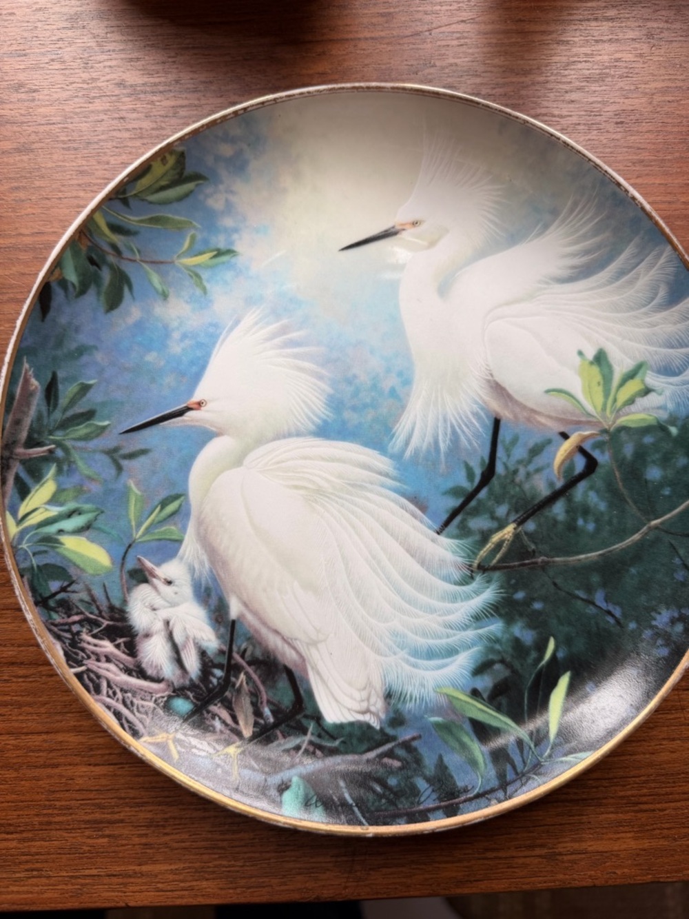 “Snowy egrets “ Collector Plate
